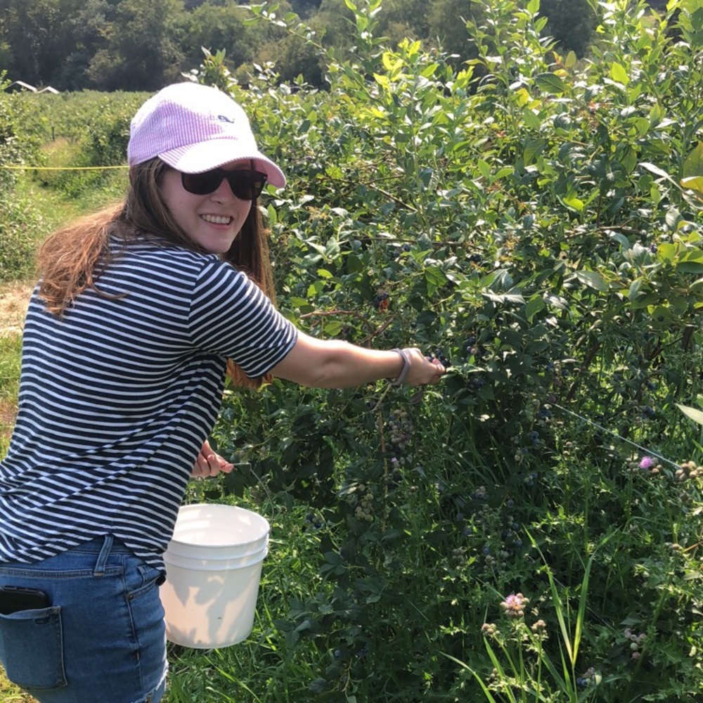 Meet your Posher - Picture 7 of 7